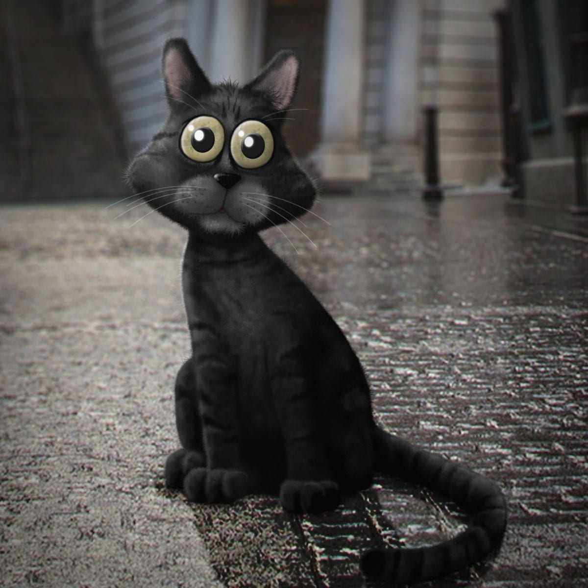 cat