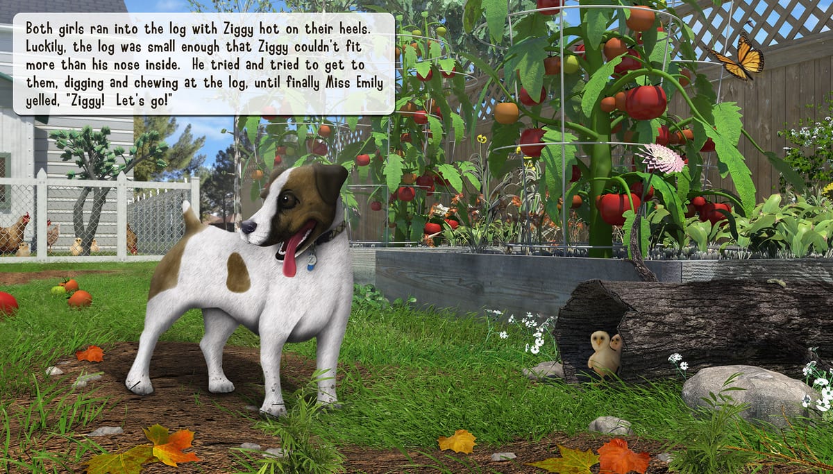 chicken yard, image 7