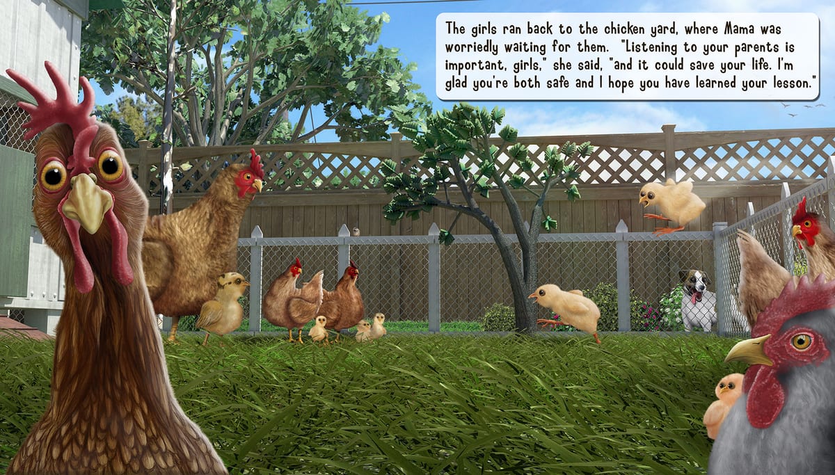 chicken yard, image 8