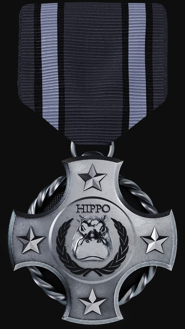 medals, image 3