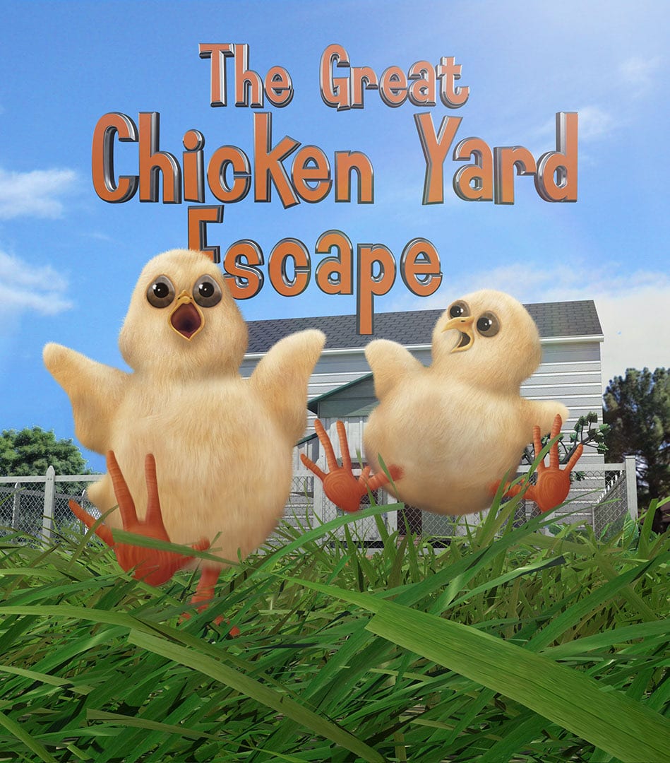 chicken yard