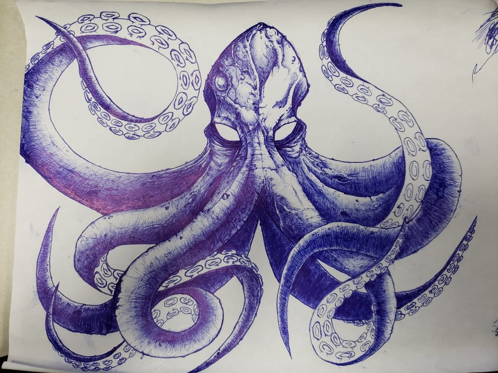 octopus, image 2